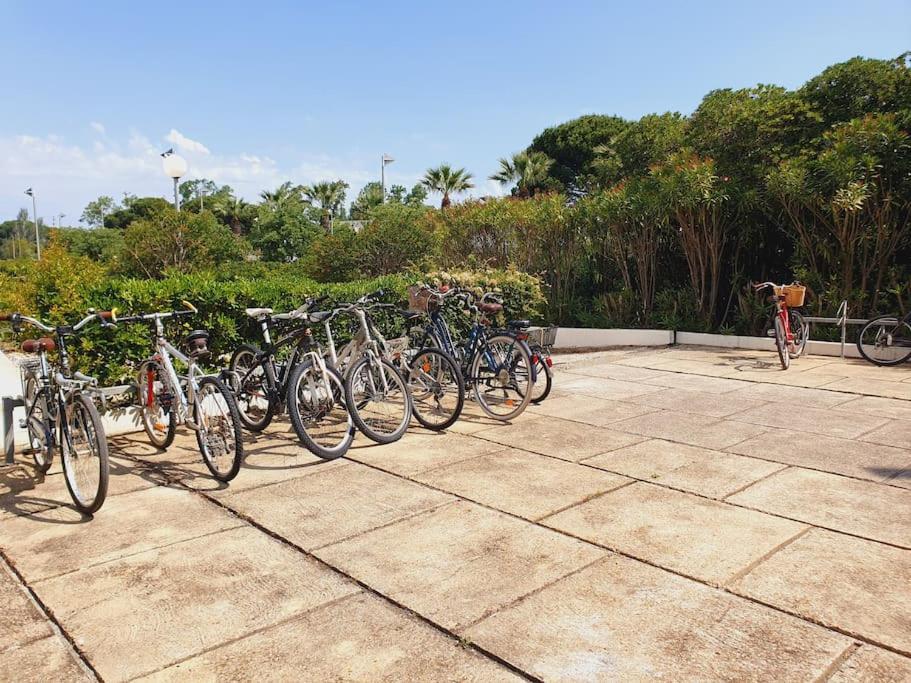 T2 Fidji Vue Port Et Mer Parking Clim Wifi - Rossiconciergerie - Linge En Option La Grande Motte Extérieur photo