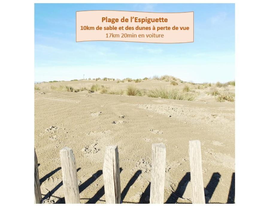 T2 Fidji Vue Port Et Mer Parking Clim Wifi - Rossiconciergerie - Linge En Option La Grande Motte Extérieur photo